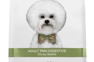 Adult mini digestive - Divine Rabbit